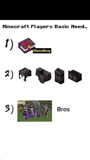 Minecraft Players Basic needs