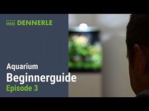 Aquarium Einsteiger Guide 🐟 Ep. 03: Der erste WASSERWECHSEL steht an!