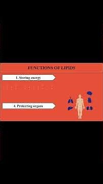 Functions of Lipids I Watch Full Video