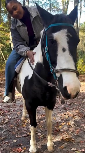 308K views · 5.2K reactions | Have you ever been Horseback Riding? Kay’s acres offer guided tours and lessons with children welcome. This is the perfect activity to hang with family and friends or a date. Cost ranges from $80+. You also can’t have your phones so they offer a photo and video package for $30 (from a iPhone). Really great way to spend a fall morning or afternoon check them out.  800 Lummis Road, Suffolk, VA 23437 | Stormy Blue #StormChasers | Facebook