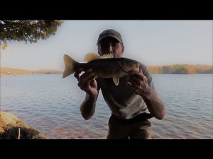 Spring Pole Fishing Trap