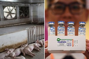 Today's Video Headlines: 8\/24\/22