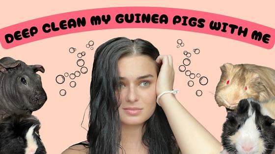Deep Clean My Guinea Pig’s Cage With Me – The Worst One Yet