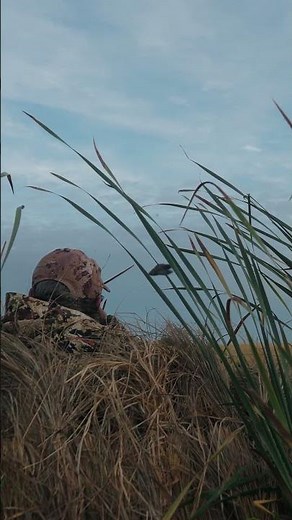 Waterfowl Guide's Pick For Shot Size #huntfishmb #birdtailwaterfowl #waterfowlhunting