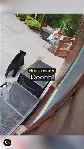When the bear isn't intimidated by your noise 😂