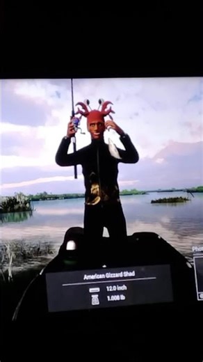 First american gizzard shad