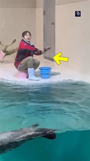 Smart Otter Acts Cute To Finally Get The Food 😱