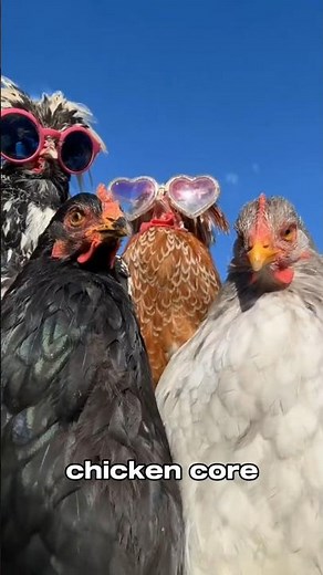 chicken core🐓🥚🐔 #chicken #shorts #fyp #core #cutechickens #animals #pets #funnyanimals #funny #cute