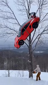 Timber! | Car Fanatics Forum