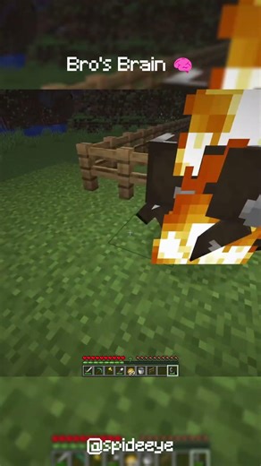 Minecraft ELON MUSK MEMES are definitely the worst one #minecraft #minecraftmemes #minecraftdaily