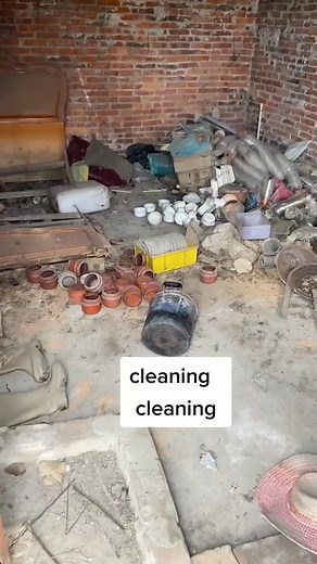 Domestic service on TikTok