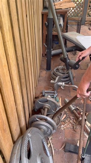 Eastern Brown Snake working on his fitness 💪🏼🏋🏼 Glenn caught and relocated this absolutely stunning snake from the Moreton Bat region this week. After his cruise, he couldn’t wait to catch a brown snake as you can tell! Very nicely done Glenn! Have fun out in the bush Baz and stay safe! 📞 0408545440 24/7 365 #fblifestyle #easternbrown #highlyvenomous | Sunshine Coast Snake Catchers 24/7