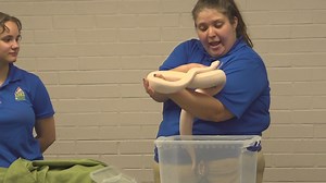 Science Spectrum and some scaly friends make a visit to Midland Libraries