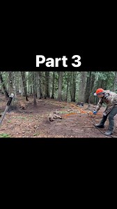 Part 3 releasing the cougar cub. #outwest #Idaho #lion #mountainlions #cougar | Out West