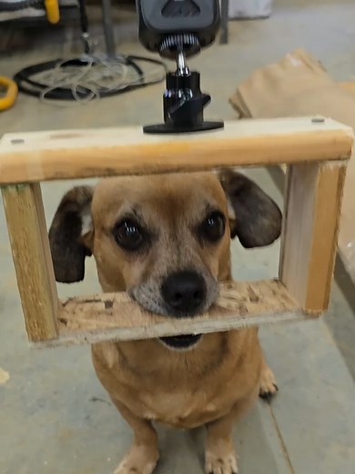 Will Minion Carry a Camera? Exploring a Fun Prototype