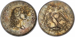 1794 $1 (Regular Strike) Flowing Hair Dollar - PCGS CoinFacts