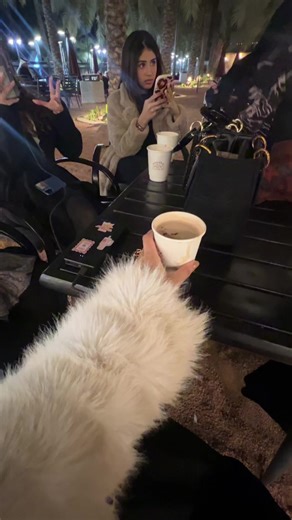 فيديوهات أنشأها Logen.ksa (@logen.ksa) باستخدام الصوت الأصلي - نـ🪄❣️.