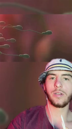 Understanding Sperm Cells: Colorful Visual Insights