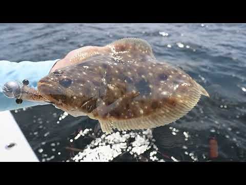 How to Catch Fall Flounder: Ultimate Guide to Spots, Lures, & Tactics!