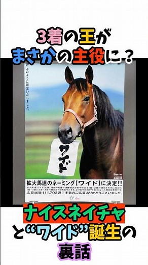 3着の王がまさかの主役に！？ナイスネイチャと“ワイド”誕生の裏話 #競馬 #horse