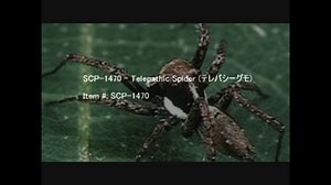 SCP-1470 - Telepathic Spider