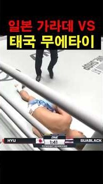 일본 가라데 VS 태국 무에타이