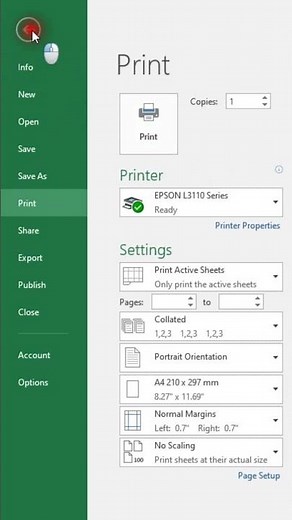 EXCEL BORDERS NOT PRINTING || EXCEL GRIDLINE PRINT || HOW TO PRINT EXCEL BORDER LINE