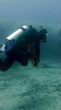 The Baltic Sea Anomaly – UFO on the Ocean Floor?