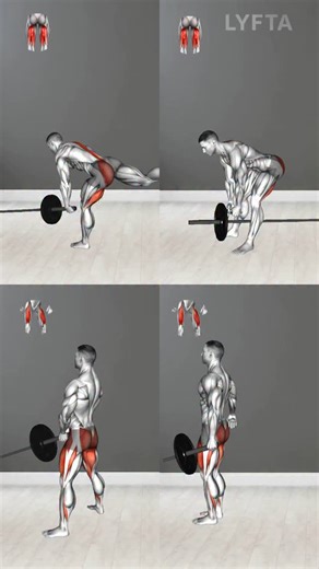 Hamstrings and Quads focused Exercises using Landmine and Cable💪 What do you want next? Drop a comment👇 | Physiotip