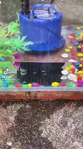 Korang yg ada bela ikan kat kolam atau akuarium, elok ada pam sedut air nie… Senang kerja 😍😍😍 Hanya masukkan pump & on, automatik air keluar sendiri. Boleh juga guna untuk pertanian & lain2.. Boleh tengok kat sini : 👉 Shopee - https://invol.co/cl8fy8y 👉 Lazada - https://invol.co/cl8fya5 | Makan Sedap Johor