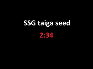 마크 타이가 시드 2분 34초(SSG)