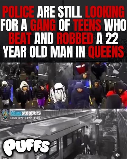 NYDRILLPAGE on Instagram: "The 22-year-old victim was waiting for the MTA bus on a deserted part of College Point Boulevard across from the NYPD Police Academy, on the night of Sunday, Dec. 28, when he was confronted by a gang of teens at around 7 p.m. The gang began to strike the victim in the head and body multiple times with closed fists and unknown objects and forcibly removed his necklace, wallet and cellphone, police said. The gang fled the scene, crossing College Point Boulevard, and were