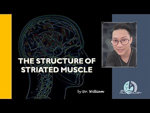 The Structure of Striated Muscle by Dr. William