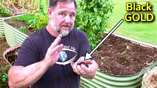 How to quickly prepare a garden bed for planting vegetables