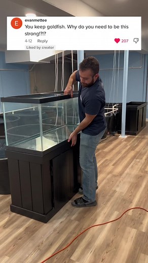 Here’s why you should go to the gym if you’re interested in a fish career. #fish #gym #tanks