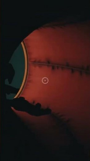 I Played Poppy Playtime Chapter 3 see full video