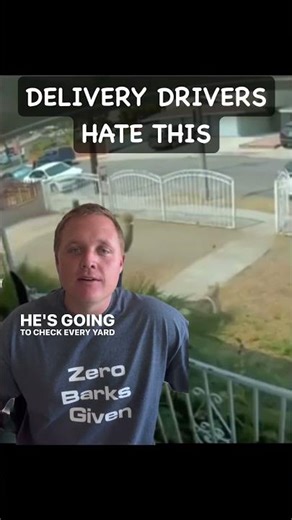 Dog in Yard vs Delivery Driver — Who’s Responsible?