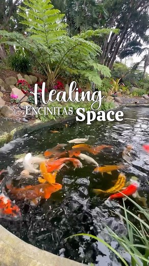 Hidden San Diego™ on Instagram: "The Self-Realization Fellowship Hermitage and Meditation Gardens is a religious center in Encinitas. It was created by Paramahansa Yogananda. The meditation gardens are open to the public and the compound also contains a monastic ashram that is home to SRF monks, nuns, and male postulants (monks in training). Please be mindful when visiting as people are coming here to meditate. No dogs allowed and donations encouraged at the front. Read our article and get more 