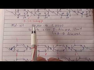 Cellulose| Properties & Structure