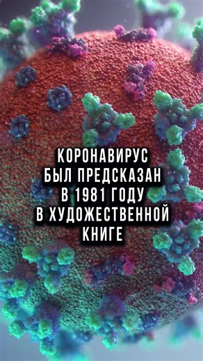 Exploring Animated Virus Models and Their Characteristics