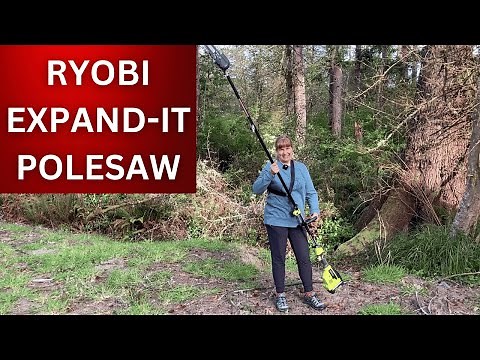 Ryobi Expand-It 10 in. Universal Pole Saw Attachment