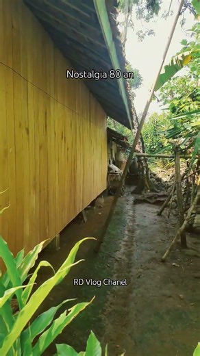 nostalgia #like #subscribe #nostalgia