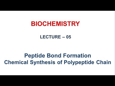 LEC 5 - Peptide Bond Formation, Chemical Synthesis of Polypeptide Chain