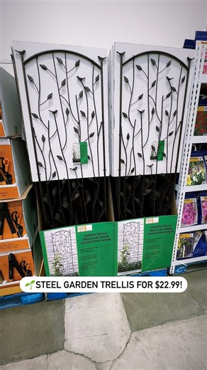 48K views · 24 reactions | Beautiful steel garden trellis for $22.99 at @costco! #gardening #landscaping #costcodeals #costco | Costco Deals | Facebook