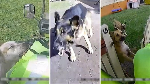 Dog attacks on Australia Post workers on the rise