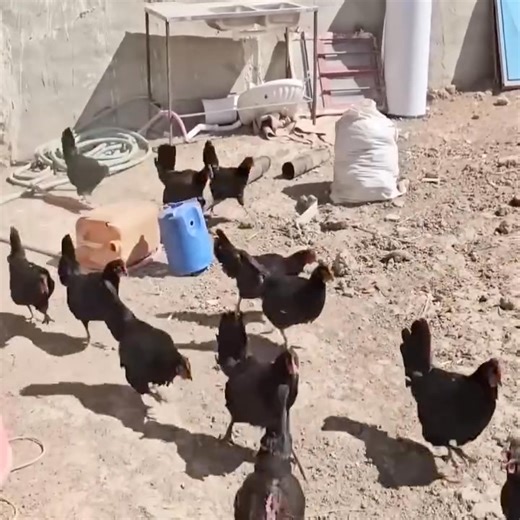 Empathy and Collaboration How the Operator Helped Hospitality | Dover DR