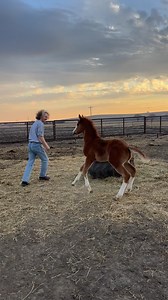 40M views · 1M reactions | Thank you all so much for all the birthday...