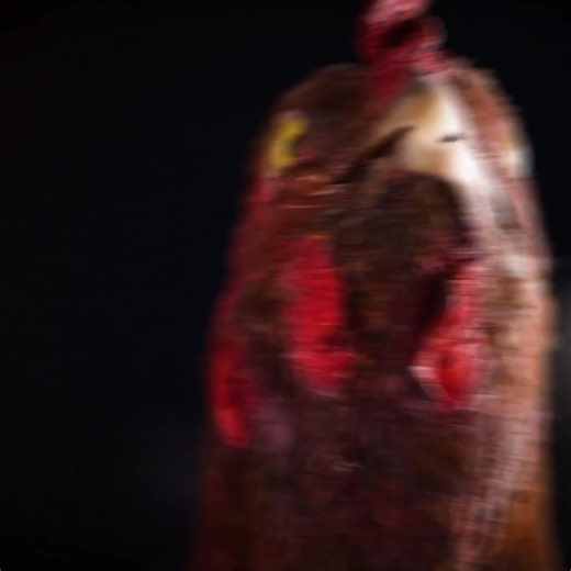 77 reactions · 4 comments | A brand new stampede of gear has arrived in the Los Longhorns de Tejas collection, our official collaboration with the Texas Longhorns. | Howler Brothers | Facebook