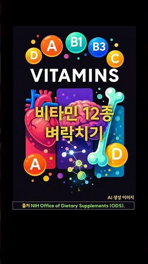 비타민 12종 벼락치기