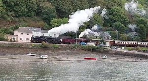 4K views · 321 reactions | Listen to that HOOT. We love the sound of...